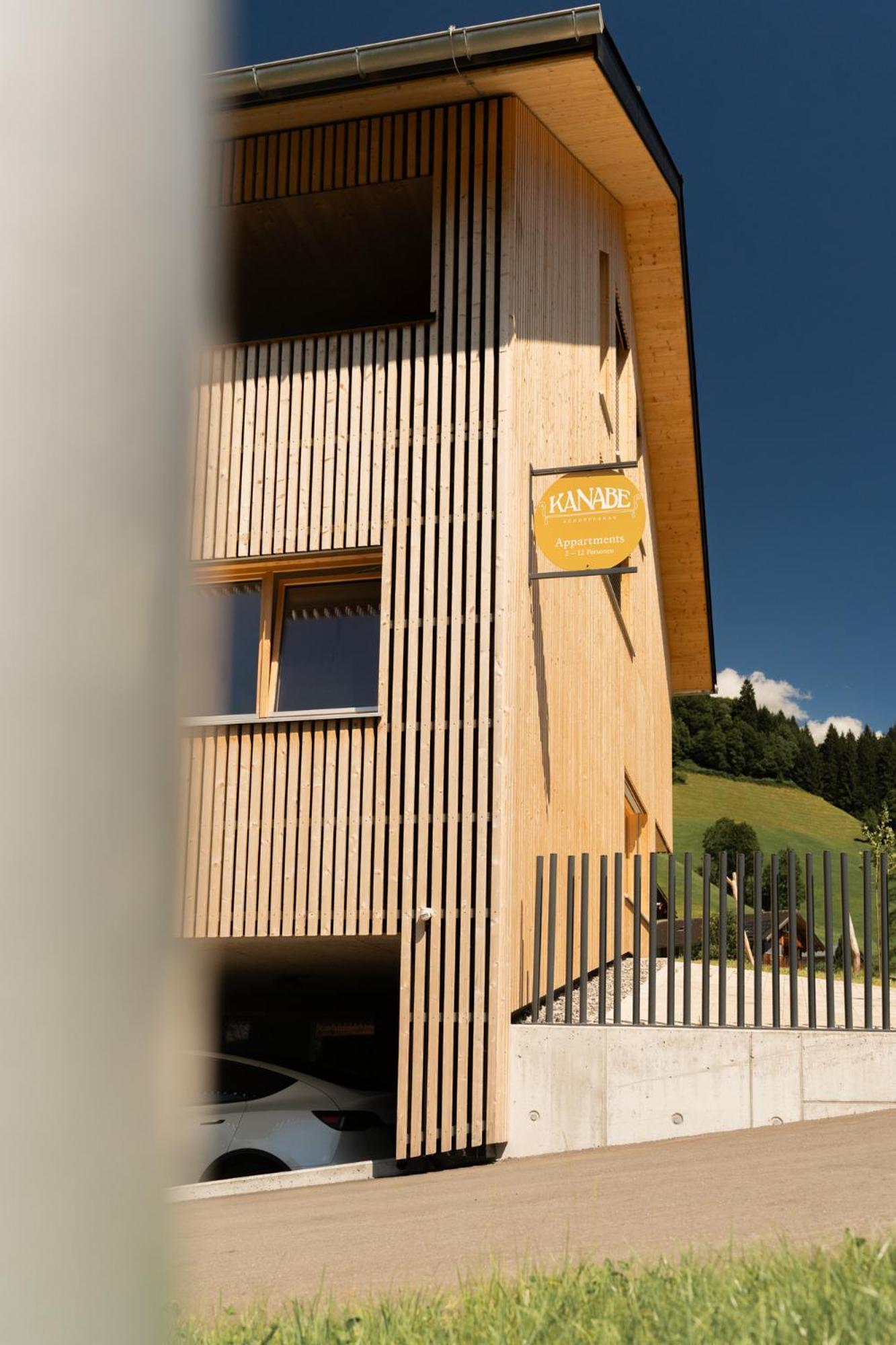 Haus Kanabe Schoppernau Ngoại thất bức ảnh
